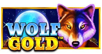 Wolf Gold key art