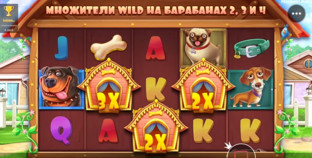 Если выпала бонуска Dog House