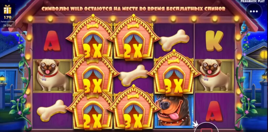 Если выпала бонуска Dog House
